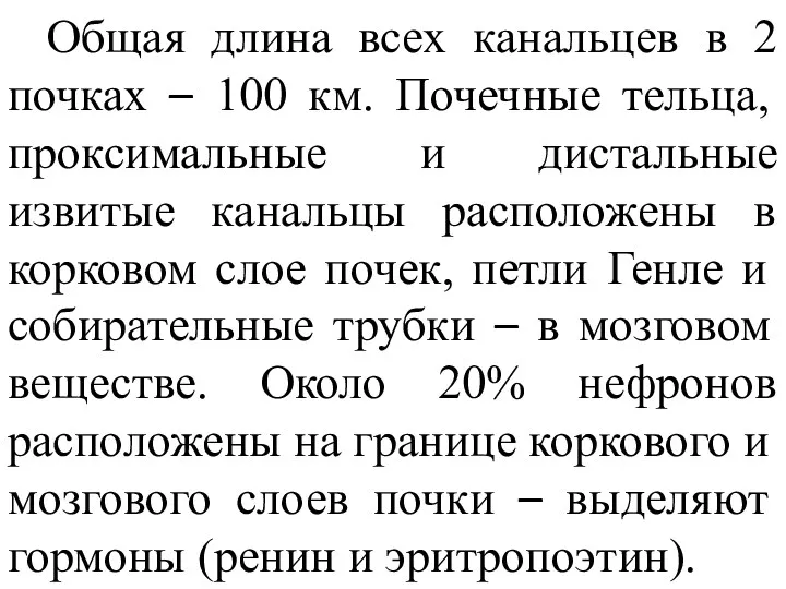 Общая длина всех канальцев в 2 почках – 100 км.