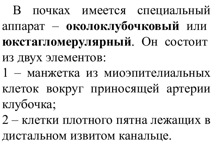 В почках имеется специальный аппарат – околоклубочковый или юкстагломерулярный. Он