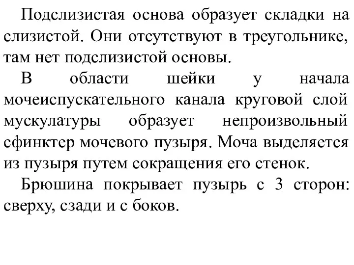 Подслизистая основа образует складки на слизистой. Они отсутствуют в треугольнике,