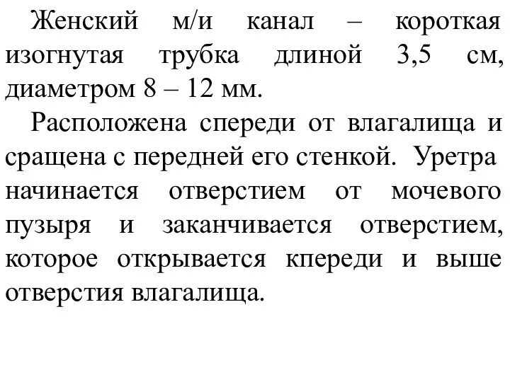 Женский м/и канал – короткая изогнутая трубка длиной 3,5 см,