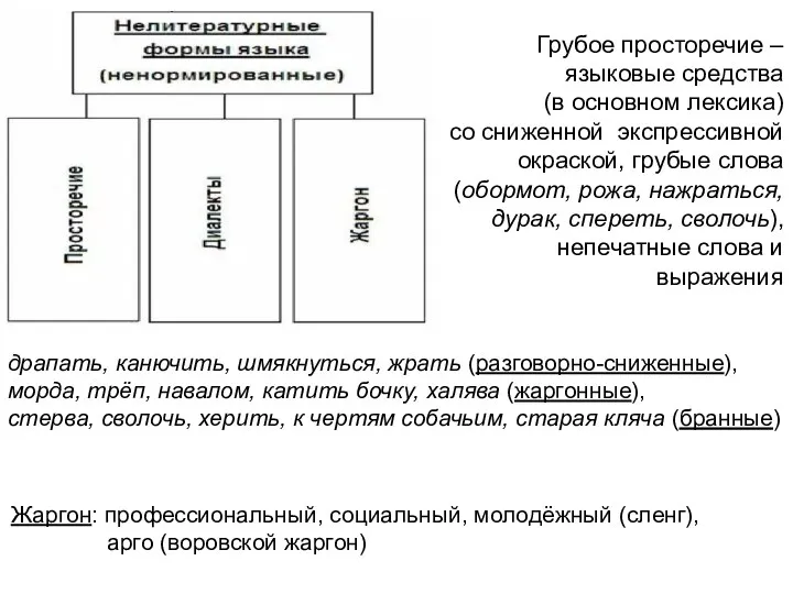 Грубое просторечие – языковые средства (в основном лексика) со сниженной