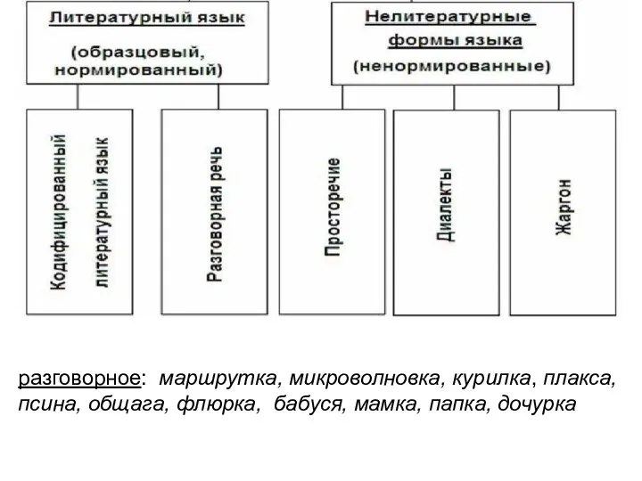 . разговорное: маршрутка, микроволновка, курилка, плакса, псина, общага, флюрка, бабуся, мамка, папка, дочурка