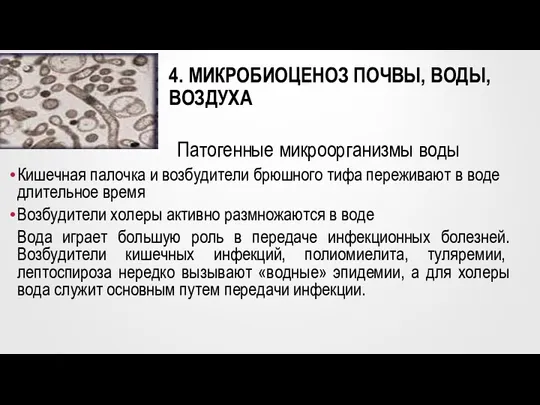 4. МИКРОБИОЦЕНОЗ ПОЧВЫ, ВОДЫ, ВОЗДУХА Кишечная палочка и возбудители брюшного