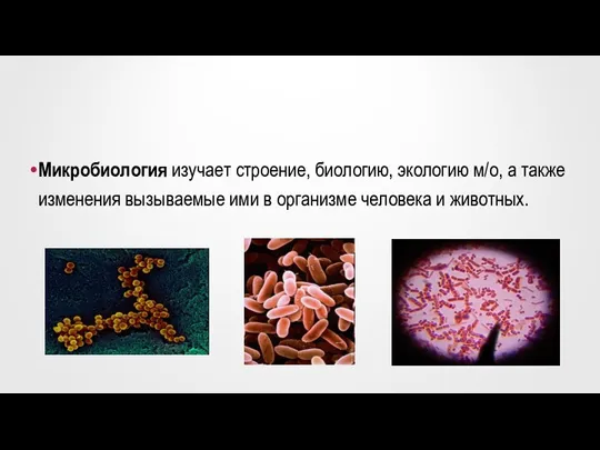 Микробиология изучает строение, биологию, экологию м/о, а также изменения вызываемые ими в организме человека и животных.