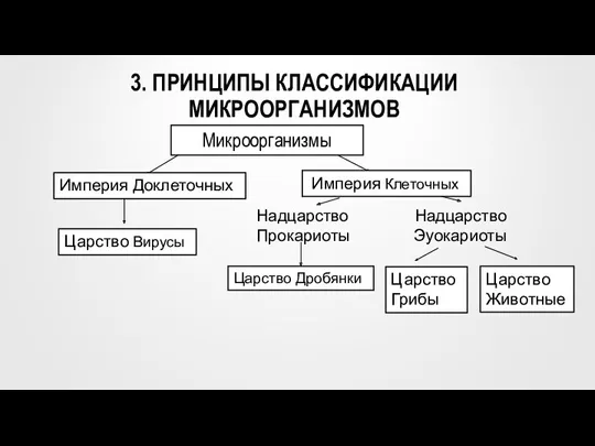 3. ПРИНЦИПЫ КЛАССИФИКАЦИИ МИКРООРГАНИЗМОВ Империя Доклеточных Империя Клеточных Царство Вирусы