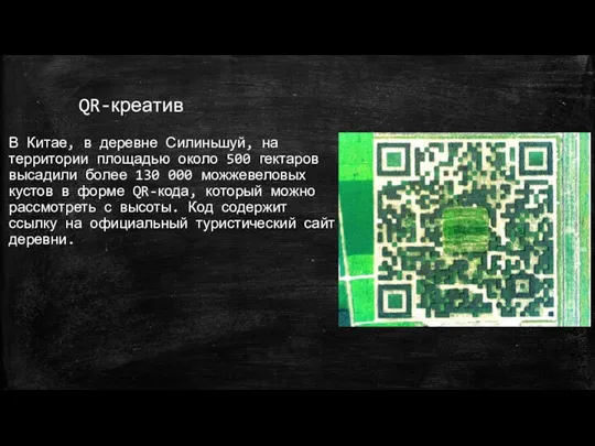 QR-креатив В Китае, в деревне Силиньшуй, на территории площадью около 500 гектаров высадили