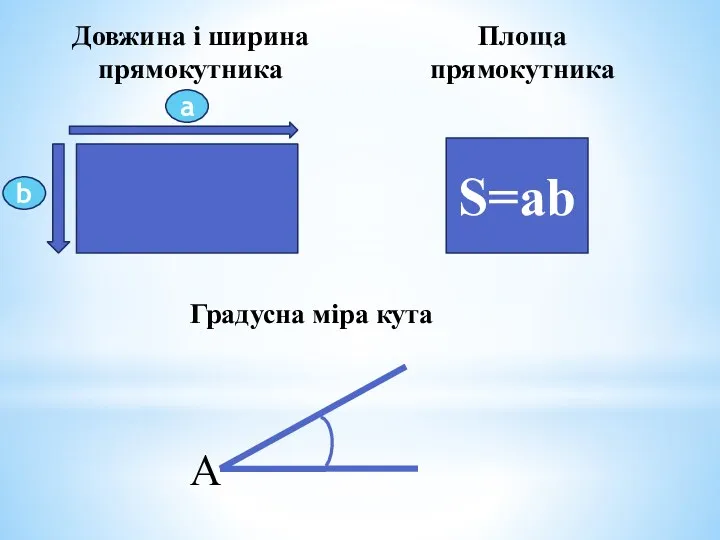 Довжина і ширина прямокутника а b S=ab Площа прямокутника A Градусна міра кута