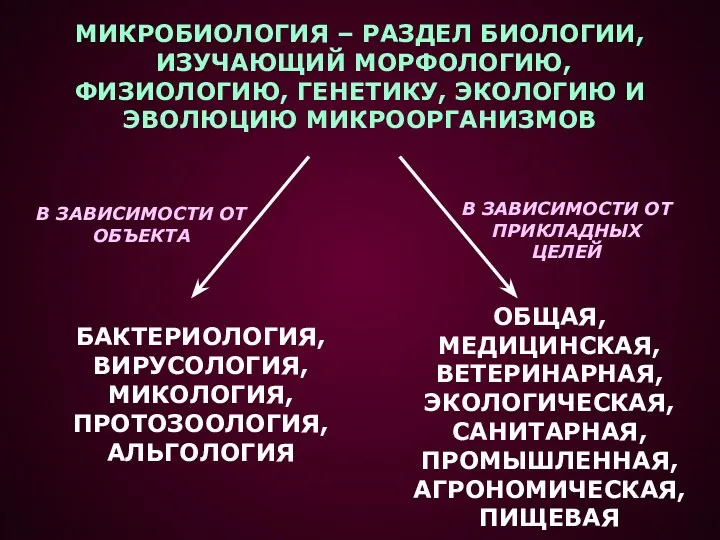 МИКРОБИОЛОГИЯ – РАЗДЕЛ БИОЛОГИИ, ИЗУЧАЮЩИЙ МОРФОЛОГИЮ, ФИЗИОЛОГИЮ, ГЕНЕТИКУ, ЭКОЛОГИЮ И