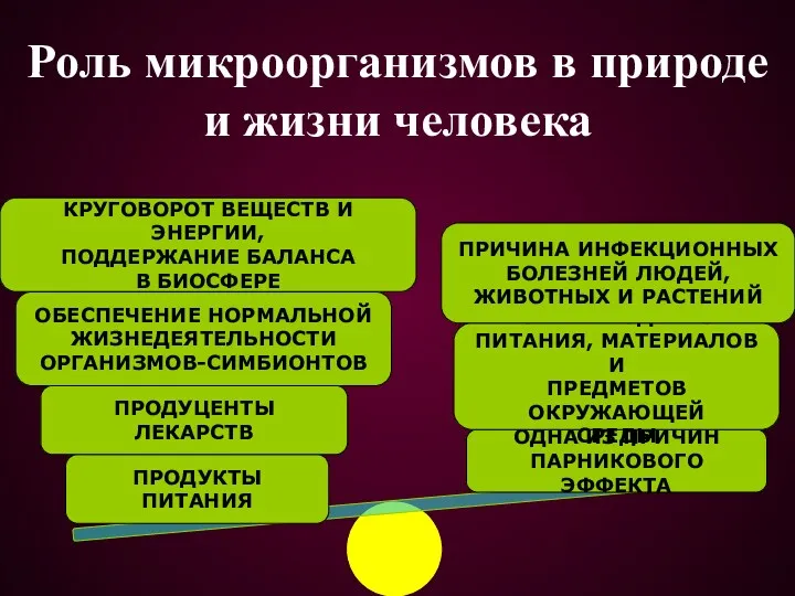 Роль микроорганизмов в природе и жизни человека КРУГОВОРОТ ВЕЩЕСТВ И