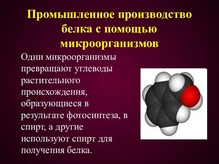 Промышленное производство белка с помощью микроорганизмов Одни микроорганизмы превращают углеводы