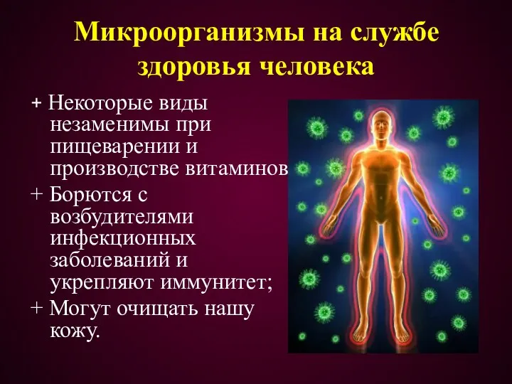 Микроорганизмы на службе здоровья человека + Некоторые виды незаменимы при