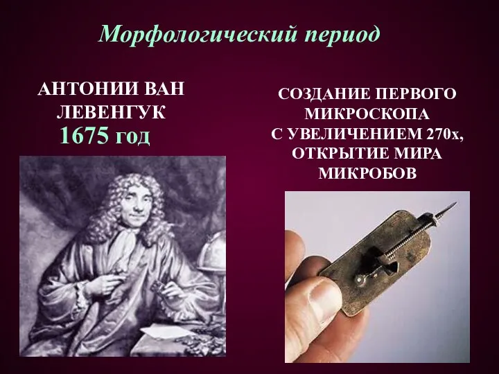 1675 год СОЗДАНИЕ ПЕРВОГО МИКРОСКОПА С УВЕЛИЧЕНИЕМ 270х, ОТКРЫТИЕ МИРА МИКРОБОВ АНТОНИИ ВАН ЛЕВЕНГУК Морфологический период