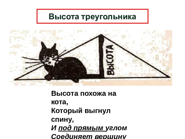 Высота треугольника Высота похожа на кота, Который выгнул спину, И