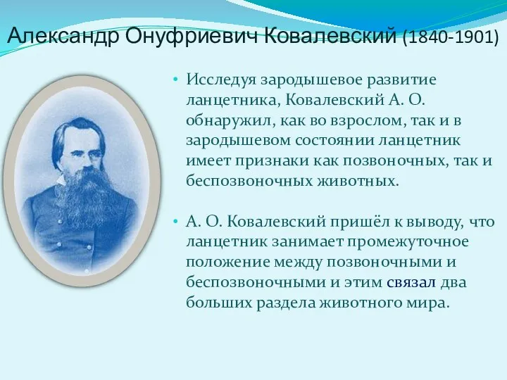 Александр Онуфриевич Ковалевский (1840-1901) Исследуя зародышевое развитие ланцетника, Ковалевский А.