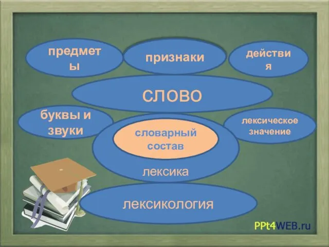 слово предметы признаки действия лексическое значение буквы и звуки лексика лексикология словарный состав