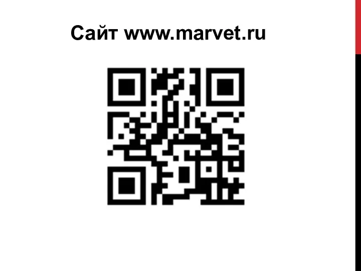 Сайт www.marvet.ru