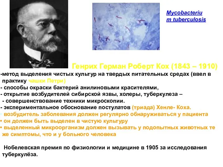 Mycobacterium tuberculosis Генрих Герман Роберт Кох (1843 – 1910) метод