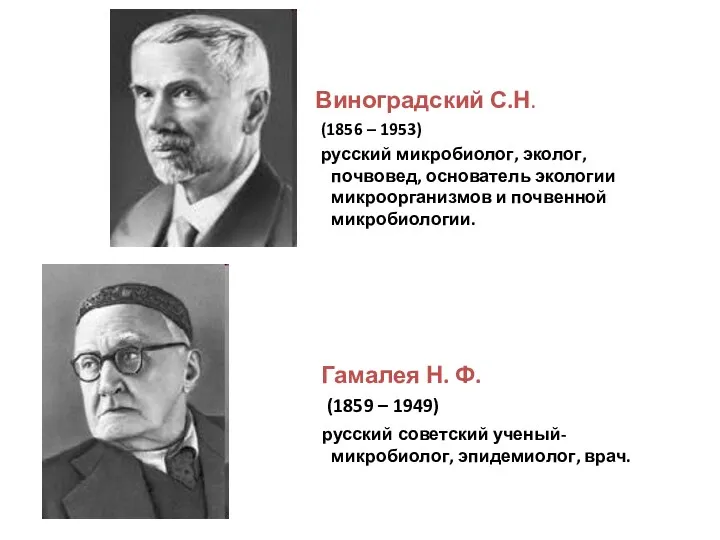 Виноградский С.Н. (1856 – 1953) русский микробиолог, эколог, почвовед, основатель