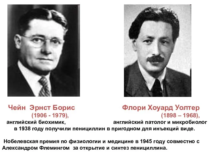 . Чейн Эрнст Борис Флори Хоуард Уолтер (1906 - 1979),