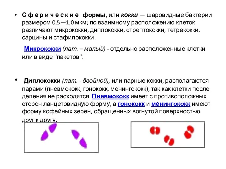 С ф е р и ч е с к и