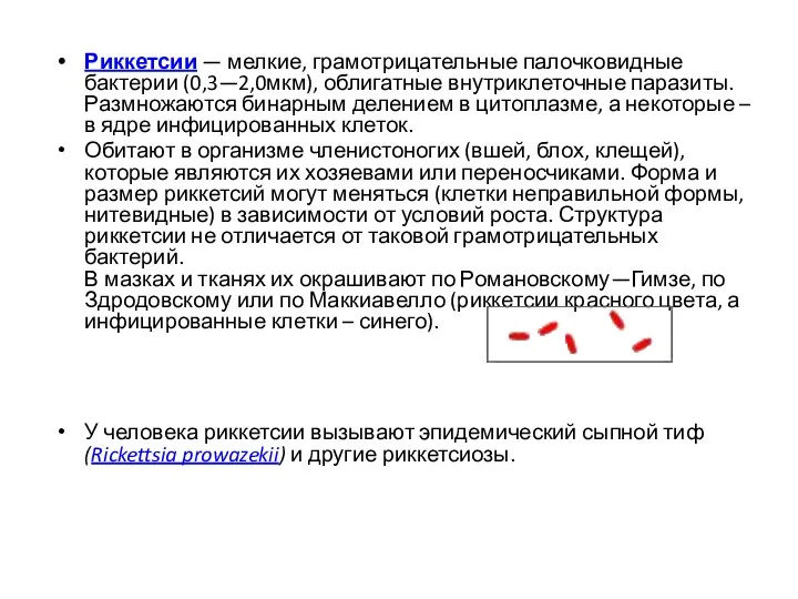 Риккетсии — мелкие, грамотрицательные палочковидные бактерии (0,3—2,0мкм), облигатные внутриклеточные паразиты.