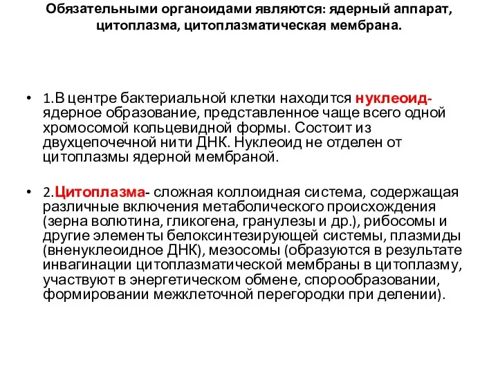 Обязательными органоидами являются: ядерный аппарат, цитоплазма, цитоплазматическая мембрана. 1.В центре