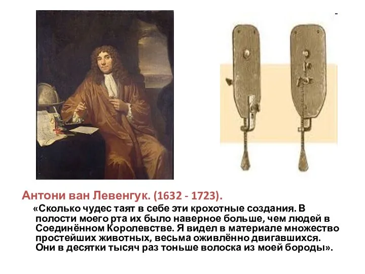 Антони ван Левенгук. (1632 - 1723). «Сколько чудес таят в