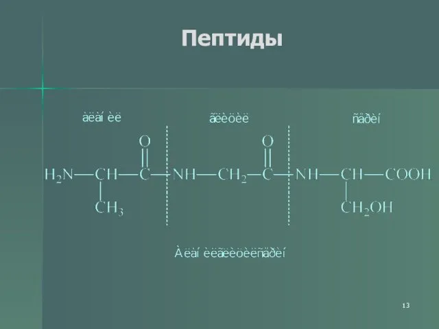 Пептиды