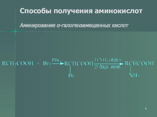 Способы получения аминокислот Аминирование α-галогензамещенных кислот