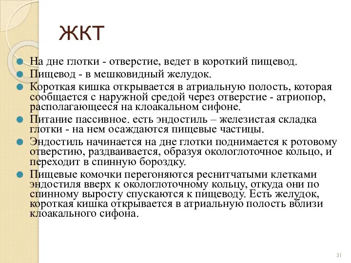 ЖКТ На дне глотки - отверстие, ведет в короткий пищевод. Пищевод - в