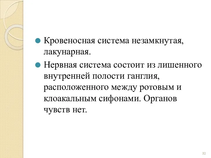 Кровеносная система незамкнутая, лакунарная. Нервная система состоит из лишенного внутренней полости ганглия, расположенного