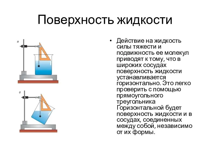 Поверхность жидкости Действие на жидкость силы тяжести и подвижность ее молекул приводят к