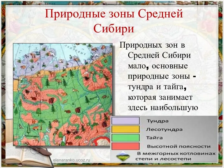 Природные зоны Средней Сибири Природных зон в Средней Сибири мало,