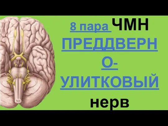 8 пара ЧМН ПРЕДДВЕРНО-УЛИТКОВЫЙ нерв