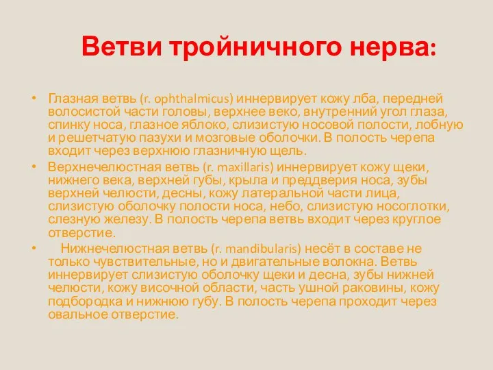 Ветви тройничного нерва: Глазная ветвь (r. ophthalmicus) иннервирует кожу лба, передней волосистой части