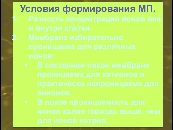 Условия формирования МП. Разность концентраций ионов вне и внутри клетки.