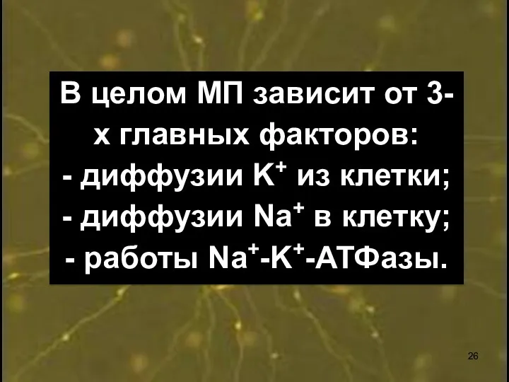 В целом МП зависит от 3-х главных факторов: - диффузии