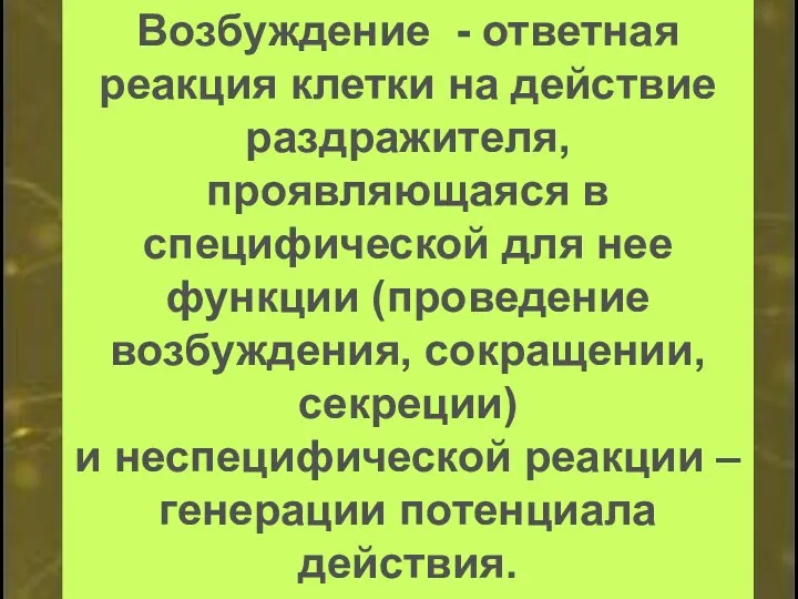 Возбуждение - ответная реакция клетки на действие раздражителя, проявляющаяся в