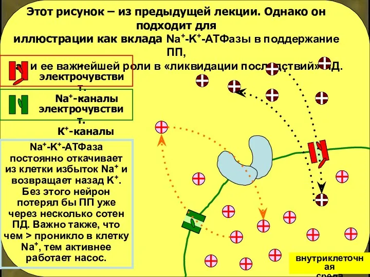 Этот рисунок – из предыдущей лекции. Однако он подходит для