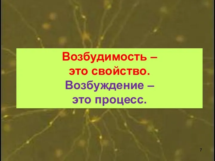 Возбудимость – это свойство. Возбуждение – это процесс.