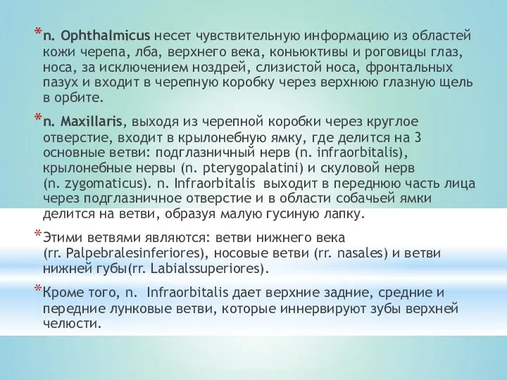 n. Ophthalmicus несет чувствительную информацию из областей кожи черепа, лба,