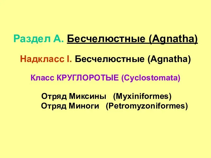 Раздел А. Бесчелюстные (Agnatha) Надкласс I. Бесчелюстные (Agnatha) Класс КРУГЛОРОТЫЕ