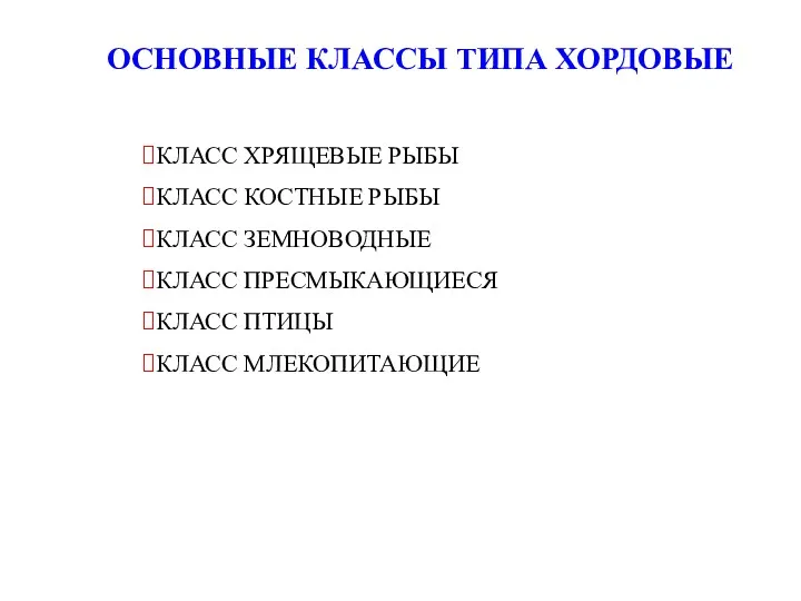 ОСНОВНЫЕ КЛАССЫ ТИПА ХОРДОВЫЕ КЛАСС ХРЯЩЕВЫЕ РЫБЫ КЛАСС КОСТНЫЕ РЫБЫ