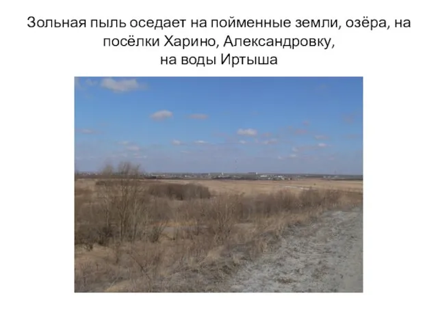 Зольная пыль оседает на пойменные земли, озёра, на посёлки Харино, Александровку, на воды Иртыша