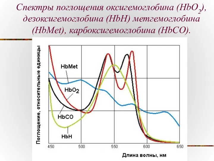 Спектры поглощения оксигемоглобина (HbO2), дезоксигемоглобина (HbН) метгемоглобина (HbMet), карбоксигемоглобина (HbCO).