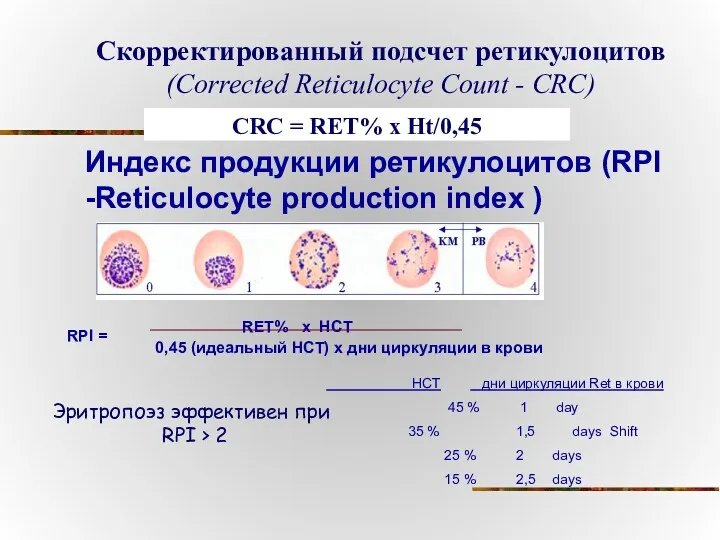 Индекс продукции ретикулоцитов (RPI -Reticulocyte production index ) Скорректированный подсчет