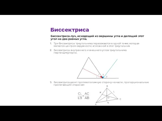 Биссектриса-луч, исходящий из вершины угла и делящий этот угол на