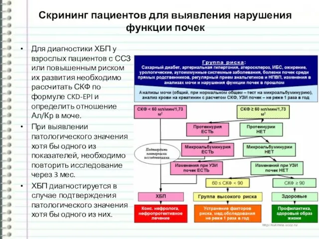 Скрининг пациентов для выявления нарушения функции почек Для диагностики ХБП