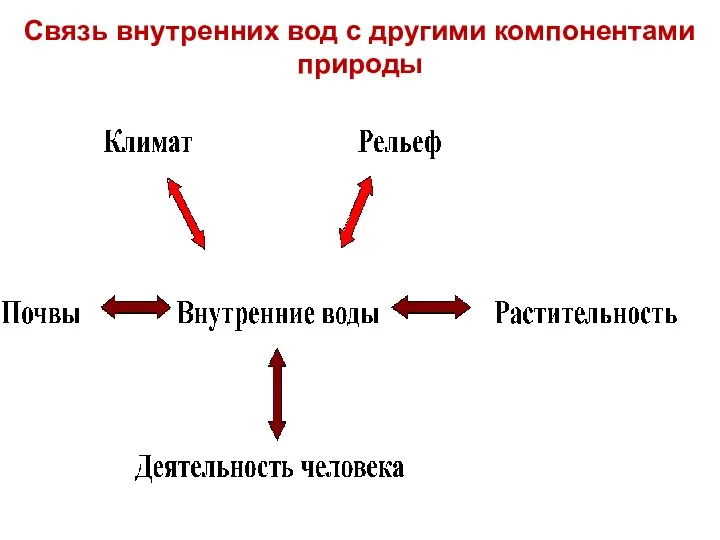 Связь внутренних вод с другими компонентами природы