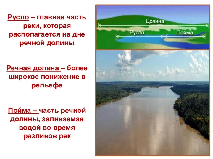 Русло – главная часть реки, которая располагается на дне речной долины Речная долина